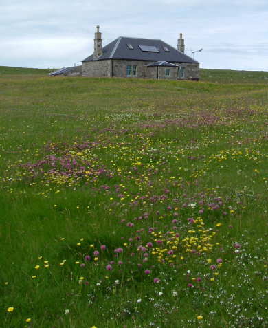 Crofthouse-2